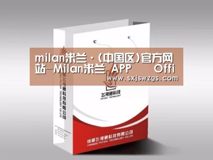 项目名称十三