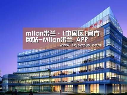 案例展示五