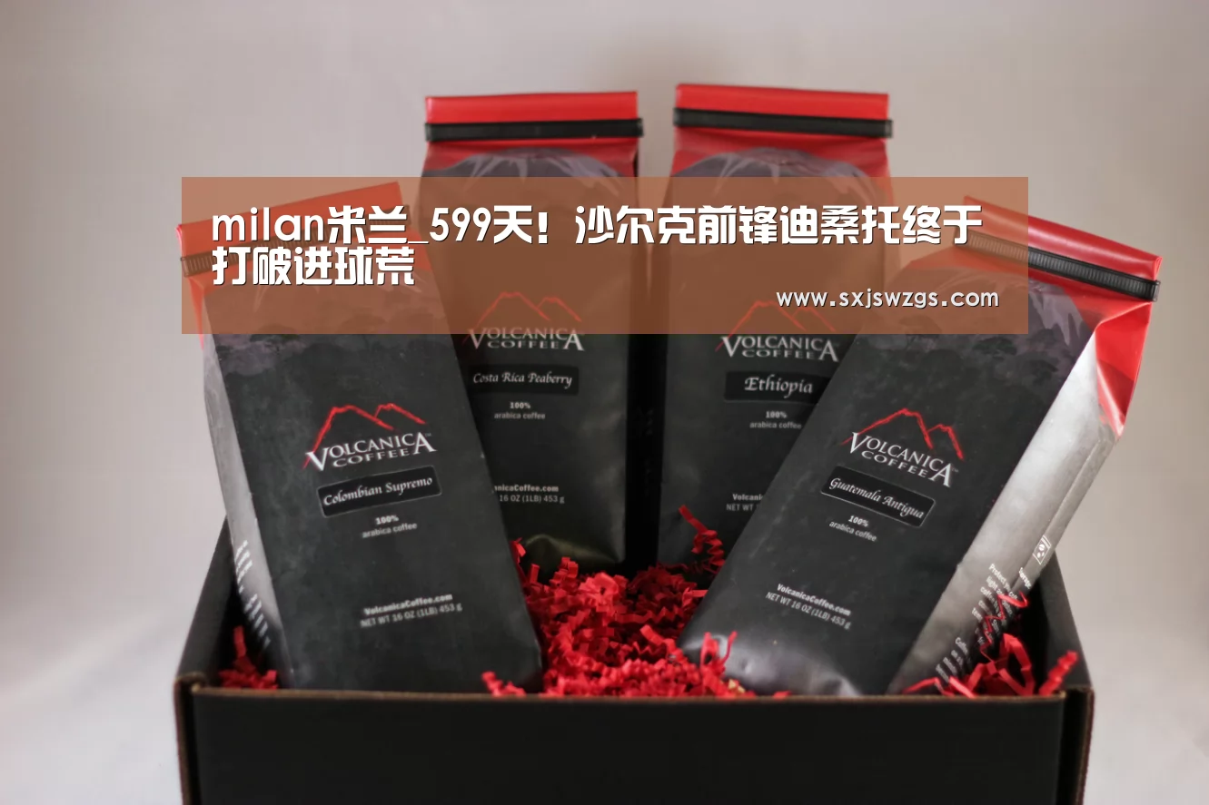 milan米兰_599天!沙尔克前锋迪桑托终于打破进球荒(图3) milan米兰app官网