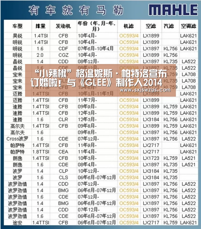 “小辣椒”格温妮斯·帕特洛宣布订婚啦!与《GLEE》制作人2014年相恋:milan米兰app官网(图3) milan米兰app官网