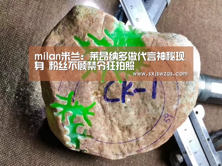 milan米兰:莱昂纳多做代言神秘现身 粉丝不顾禁令狂拍照(图2) milan米兰app官网