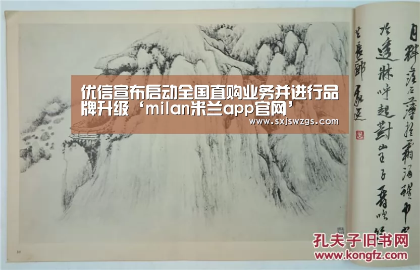 优信宣布启动全国直购业务并进行品牌升级‘milan米兰app官网’(图2) milan米兰app官网